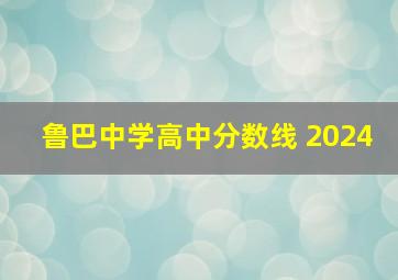 鲁巴中学高中分数线 2024